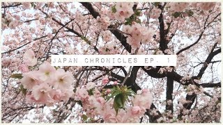 Japan Chronicles Ep 1  house tour amp cherry blossoms [upl. by Berget]