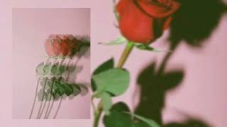 Butrint Imeri  Dujem  slowed🥀🖤 [upl. by Aimahs]