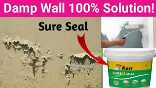 Dr Fixit Sure Seal Application  Sure seal waterproofing [upl. by Dnalrah]