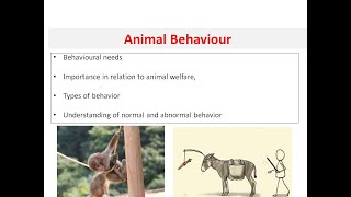 PGDAW 101 Animal behaviour its importance behavioural needs Behaviour types Part 1 [upl. by Benni406]