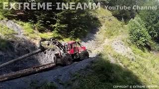 PASSAGE DIFFICILE DUN RAVIN SKIDDER CAMOX F175 BÛCHERON DE LEXTRÊME SKIDDER debardeur bucheron [upl. by Neile]