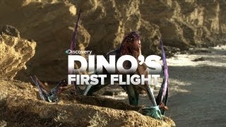 Baby Dinosaurs First Flight [upl. by Adnamal779]