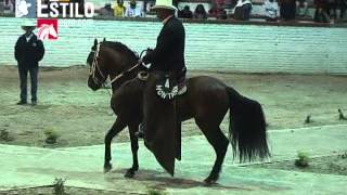 Gran Campeonato de Caballos Paso Fino Colombiano  Sogamoso 2013 [upl. by Ley272]