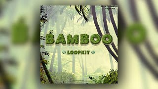 FREE GUNNA LOOP KIT  SAMPLE PACK  quotBAMBOOquot 20  GUITAR LOOPS [upl. by Orrocos79]