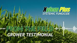 From The Field InSeason Grower Testimony [upl. by Losiram]