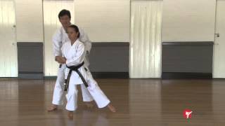 Goju ryu kata  saifa part 1 of 2 [upl. by Azerila789]