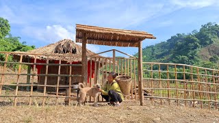 Single mother 17 years old  5 months pregnant mother completing the house gate [upl. by Nwatna]