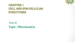 Mitochondria  Powerhouse of the Cell  Self Replicating Organelle  Federal Biology [upl. by Milson]