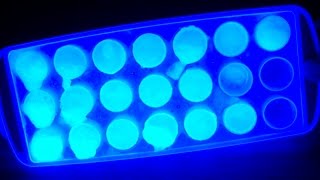 Cómo Hacer Hielo Fluorescente DIY [upl. by Haakon161]