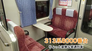 313系8000番台の普通列車に乗車 夜の中央本線瑞浪→名古屋 2019314 [upl. by Janiuszck]