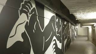 graffiti tour at Palais de Tokyo Paris aug 2019 cleon peterson [upl. by Annawak859]