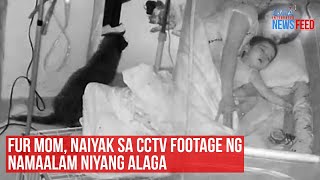 Fur mom naiyak sa CCTV footage ng namaalam niyang alaga  GMA Integrated Newsfeed [upl. by Boorman]