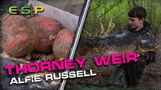 Fishing NATURALS AT THORNEY WEIR  Alfie Russell  Carp Fishing [upl. by Gehlbach]