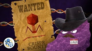 Genetically Modified Humans CRISPRCas 9 Explained [upl. by Erreipnaej293]