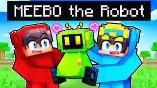 HOW I MET MEEBO The Robot In Minecraft [upl. by Vannie]