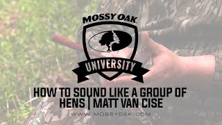 Using Multiple Calls to Sound Like a Group of Hens  Matt Van Cise [upl. by Hugh]