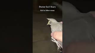 Bird screaming meme trending [upl. by Adkins]