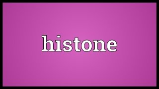 Histone Meaning [upl. by Lezned56]