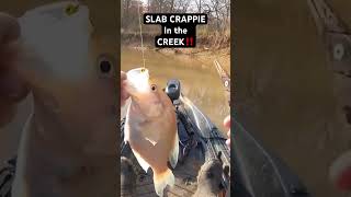 SLAB CRAPPIE in this skinny CREEK‼️ [upl. by Wesla132]