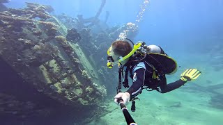 Diving in Egypt  Abu Ghusun Shipwreck Turtle 20230617 [upl. by Alwyn]