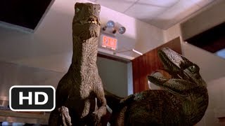 Jurassic Park 910 Movie CLIP  Raptors in the Kitchen 1993 HD [upl. by Jacobsen]