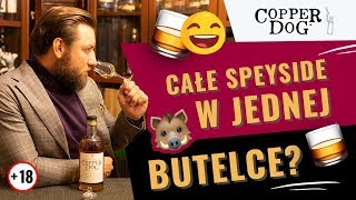 LIDL  nowy malt na półkach Jak smakuje whisky Copper Dog [upl. by Acisset809]