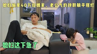 媳妇偷拿40万给娘家，老公辞职躺平摆烂，扶弟魔媳妇这下急了！ [upl. by Lachman549]