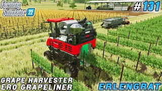 Efficiency in the Vineyard Grape Harvesting with a Combine  Erlengrat Farm  FS 22  Timelapse131 [upl. by Idok]