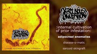 Verminous Incubation  Internal Cultivation of Prior Infestation FULL ALBUM 2016  Cybergore [upl. by Aubry]