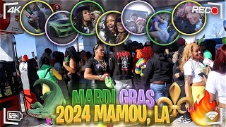 MARDI GRAS 2024  MAMOU LA ⚜️ [upl. by Okomot]