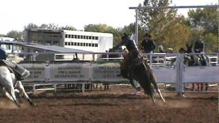 Saddle bronc rider Jesse James Kirby on 522 Falling Star [upl. by Ahsilak746]