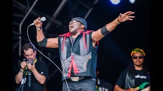 Toots and the Maytals  5446 Was My Number Live at Boomtown 2017 [upl. by Wayolle176]