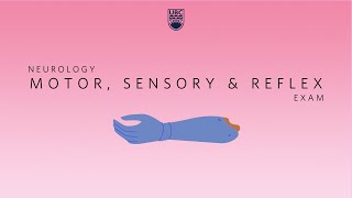 Neurology Clinical Skills  Motor Sensory amp Reflex Neurological Exam neurology ubcmedicine [upl. by Stock]