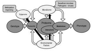 Introduction to Proteomics [upl. by Hendrika]