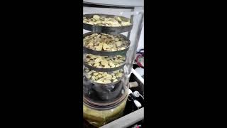 Fruit Freeze Dryer 4 [upl. by Aicirtap406]