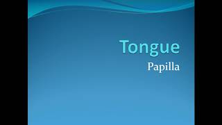 Lecture on Tongue Anatomy  Papillae Hindi [upl. by Lseil556]