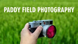 Landscape Photography feat Lumix GX850 Olympus 75mm f18 and Leica M82 POV Vlog [upl. by Jeffrey]