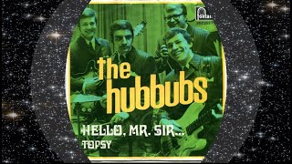 The Hubbubs 1969 Hello Mr Sir [upl. by Mena68]