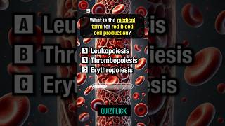 Anatomy and physiology Quiz challenge part 18shorts [upl. by May]