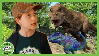 Can You Find the Baby TRex  TRex Ranch Dinosaur Videos for Kids [upl. by Nayrbo]