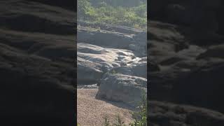 Pedernales Falls State Park in Texas [upl. by Harden]