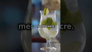 Préparez un Mojito rafraîchissant or facts t travel animaux relationship motivation [upl. by Baoj]