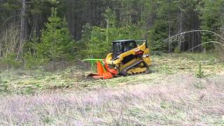 CAT 259D Standard Flow with a SS Mini Might Disc Mulcher  Advanced Forest Equipment [upl. by Garwood]