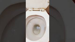 EWC FLUSH TANK REPAIR WESTERN FLUSH TANK REPAIR TOILET FLUSH TANK REPAIRWC SEAT FLUSH TANK REPAIR [upl. by Lasorella]