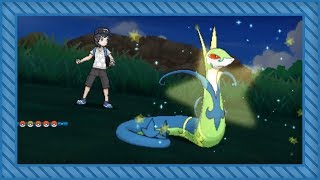 LIVE Shiny Serperior after 6237 REs in Moon via Island Scan Full odds [upl. by Aniv336]