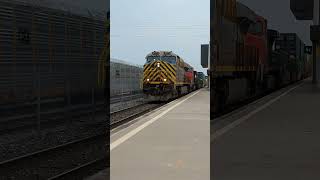 CN Q122 highballing through Oshawa at 60 MPH [upl. by Eelimaj228]