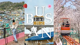 busan in 4 days 🍓 [upl. by Aicnerolf]