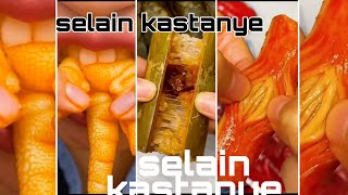 selai kastanye part 1tik tok Indonesia Bahasa Indonesia [upl. by Behka226]