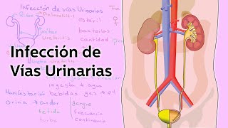 Infección de Vías Urinarias  Salud  Educatina [upl. by Harad]