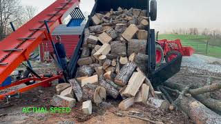 PJ DL Dump Trailer Dumping A Load Of White Oak Firewood 172 [upl. by Map]